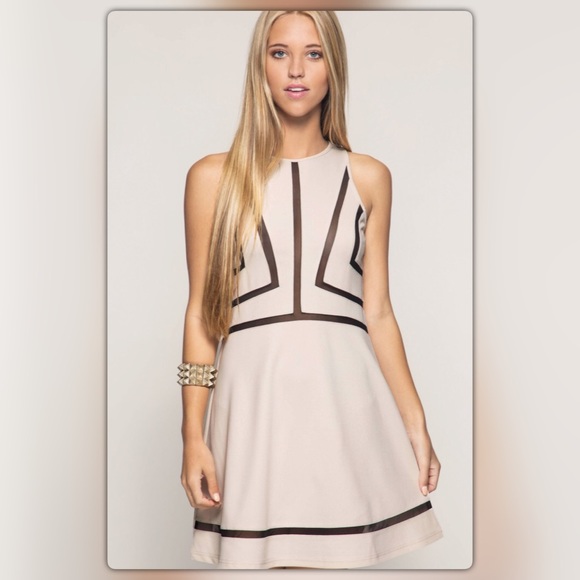 Taupe Mesh Contrast Fitted Dress - Picture 4 of 5